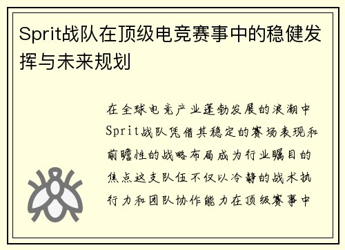 Sprit战队在顶级电竞赛事中的稳健发挥与未来规划